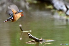 ○○○○フィールド（その5）