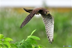 思い出の一コマ