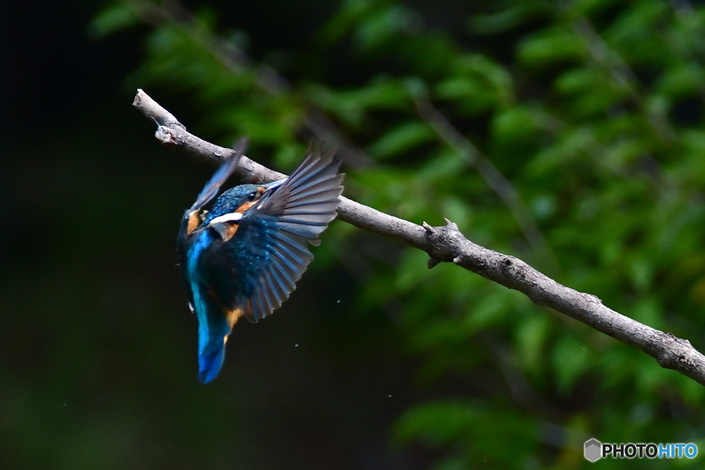 此処が一番安全じゃぁ〜