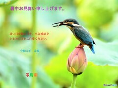 20190731　暑中お見舞い