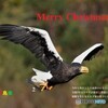 Merry   Christmas