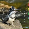 20210101　新年あけましておめでとうございます。