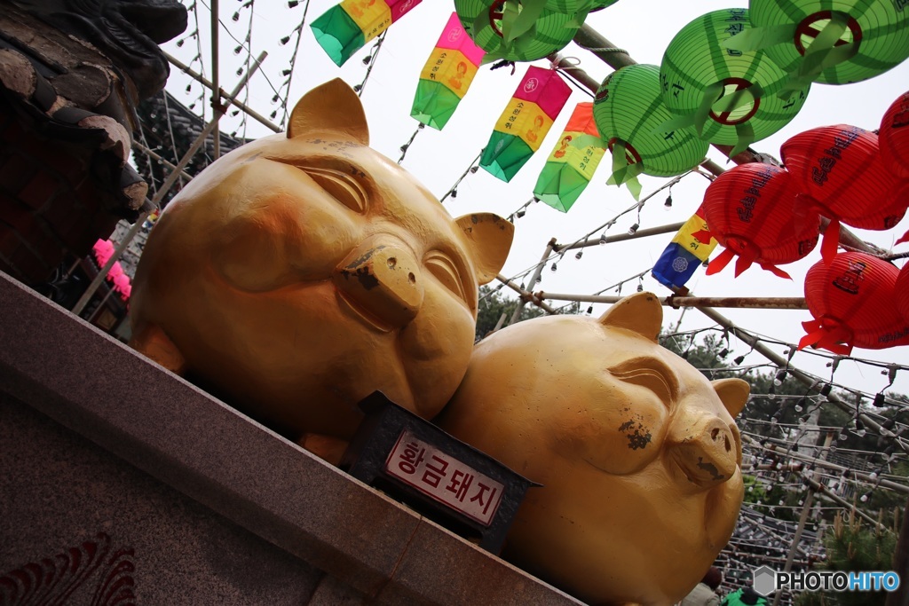 黄金の豚