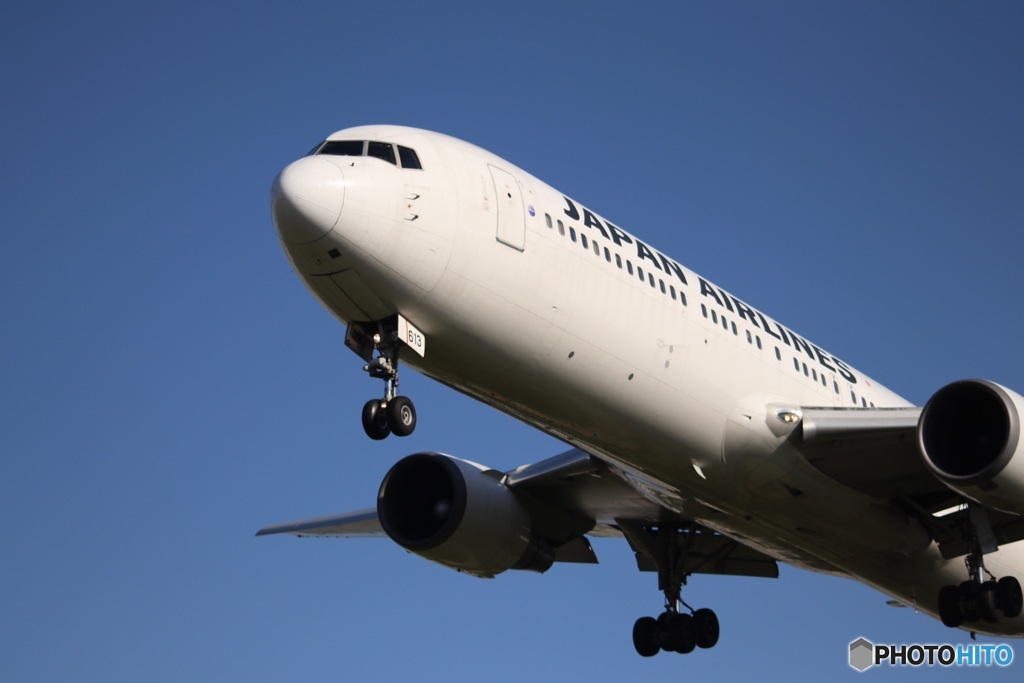 ＪＡＬ