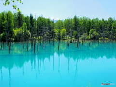 青い池