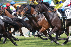 競走馬