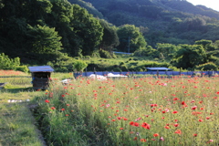 田舎