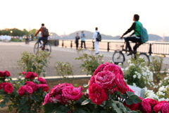 花と自転車