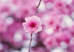DSC00187-01-01