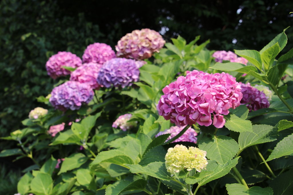 武蔵国分寺公園にて