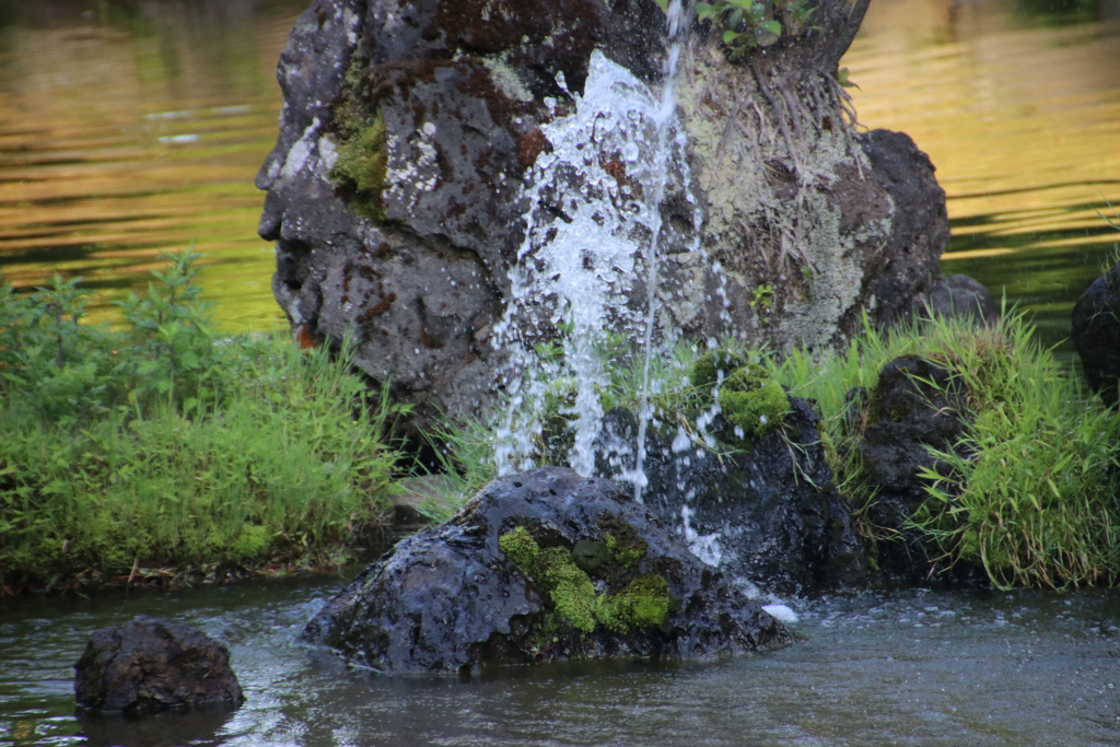 夕暮れ時の噴水