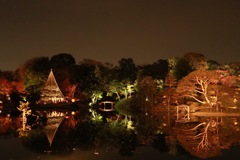六義園 池