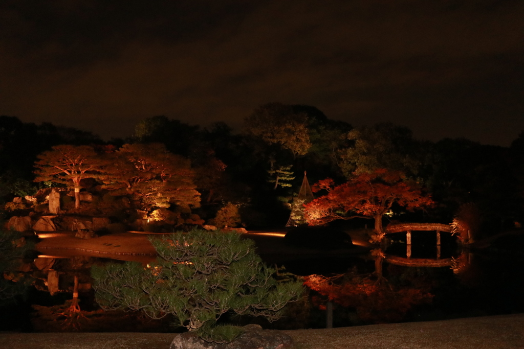 六義園 紅葉