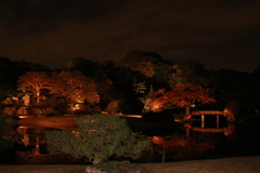 六義園 紅葉
