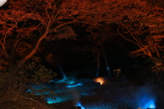 六義園 紅葉
