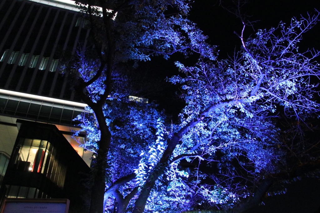 イルミネーション