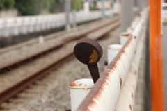 線路を見守る