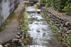 お鷹の道