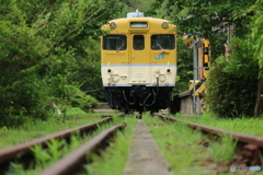 可部線「安野」