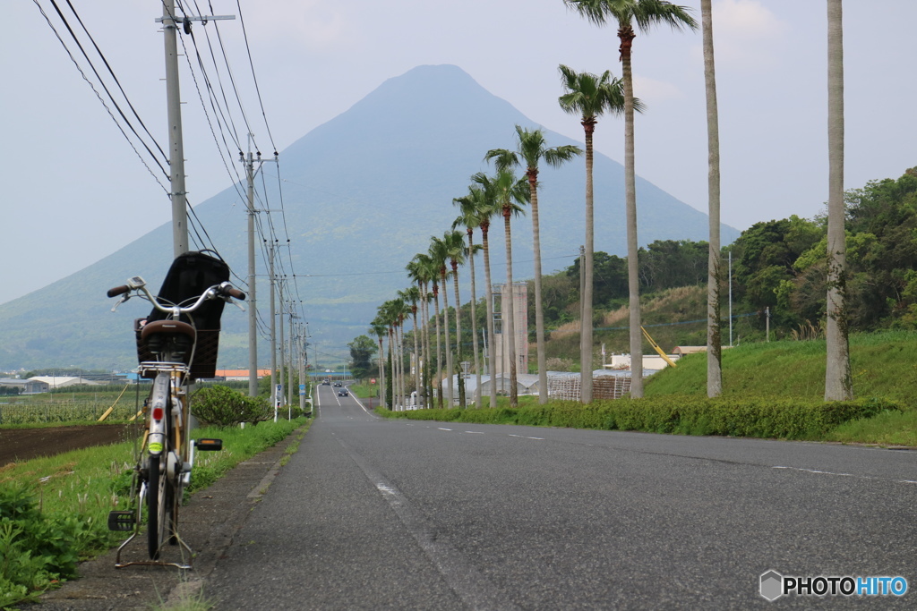 指宿からイブリン（レンタサイクル）で開聞岳へ！