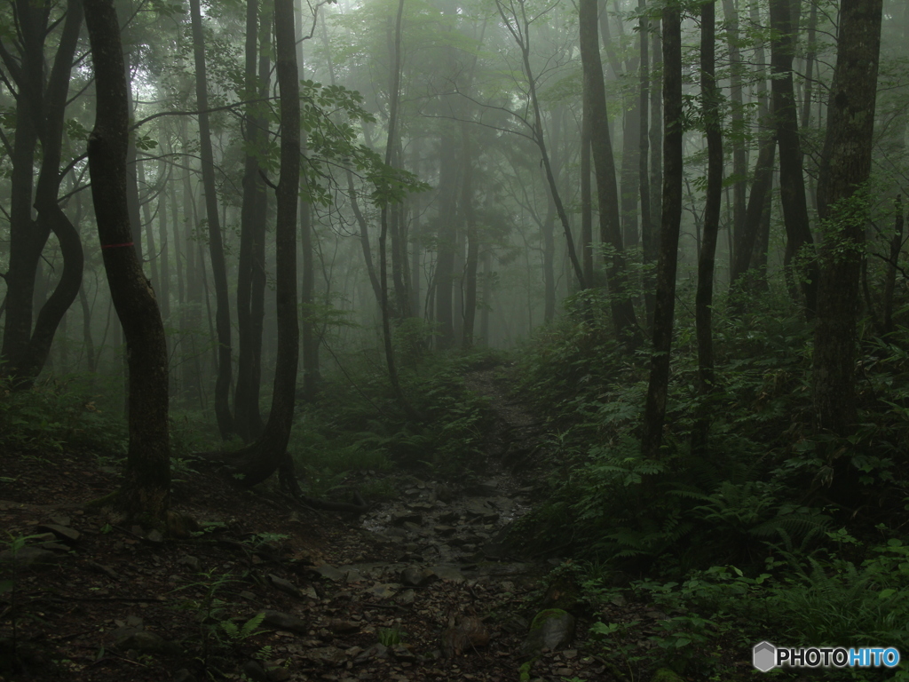 霧が出た山でソロは寂しい・・・