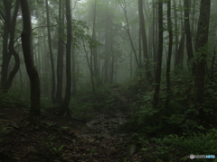 霧が出た山でソロは寂しい・・・