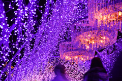 40F8B07C-3AF1-4F1E-ABD8-87C29841D67E
