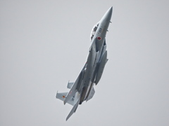 新田原の鷲１