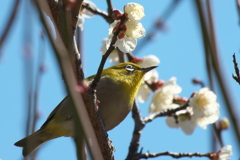 春はもうすぐ(５)