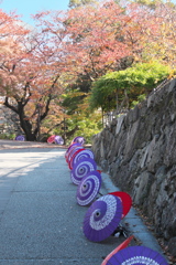 小倉の紅葉（３）