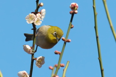 春はもうすぐ(２)