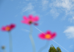 秋空４