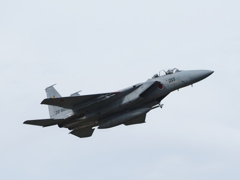 新田原の鷲３