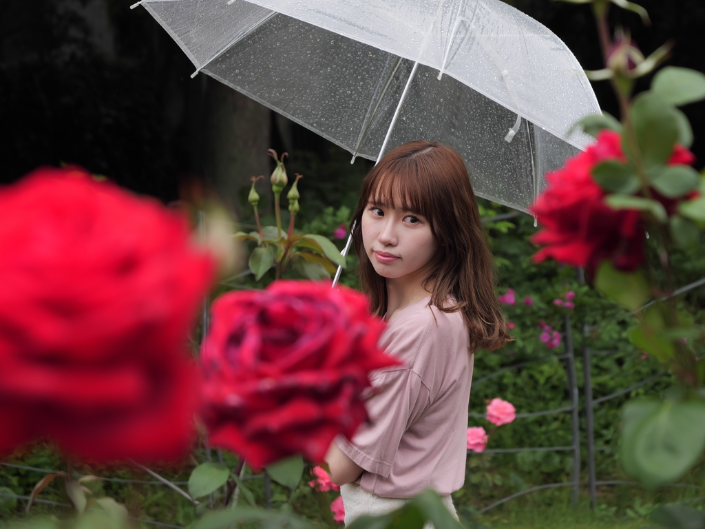 初夏の公園にて（６）