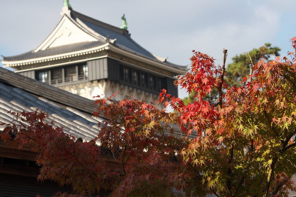 小倉の紅葉（１）