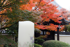 秋の古都にて(１)