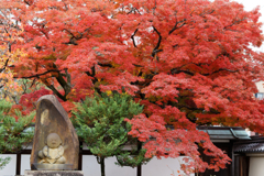 秋の古都にて(２)