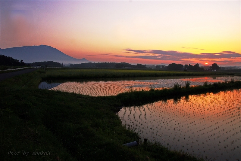 みちのく田園の朝景２