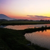 みちのく田園の朝景２