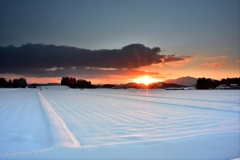 冬の朝陽景