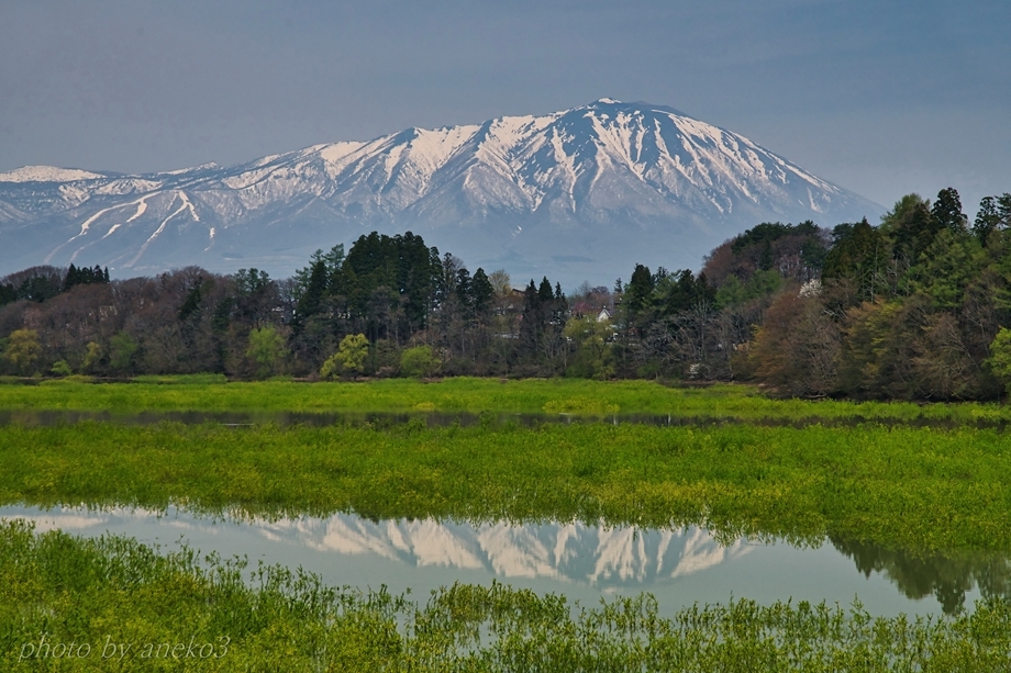 春の岩手山景２