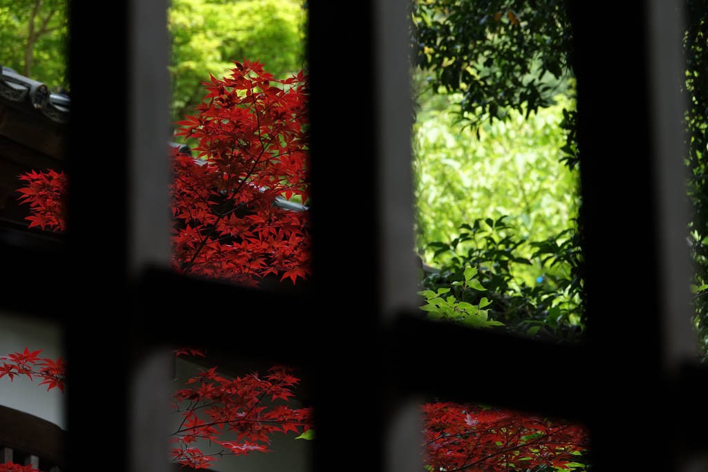 永平寺2