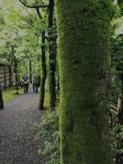 福岡の園庭
