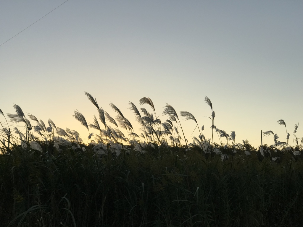 夕景