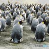 寒さに耐えろ