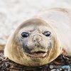 んぁ