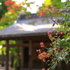 新勝寺