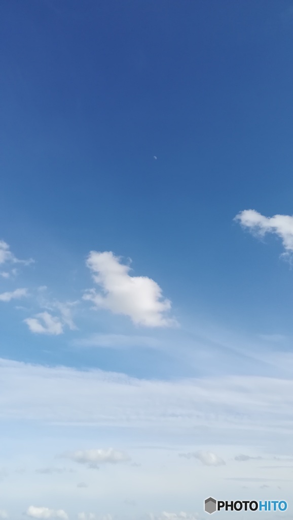 半月　見～つけた