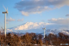 あっぱれ出羽富士