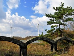 晴天のひととき
